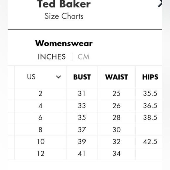 Ted Baker Loulous Cross Front Pleated Dress with Knit Bodice Coral Size 2 - Picture 14 of 15